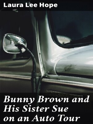 cover image of Bunny Brown and His Sister Sue on an Auto Tour